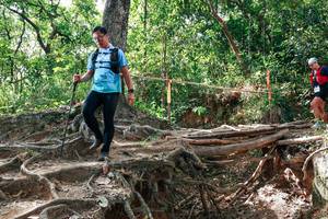 BIB: 
                            <button type="button" onclick="openModal(27718168)" class="btn btn-primary btn-sm float-right btn-popup" data-toggle="modal" data-target=".modal-high-quality">
                        <i class="fas fa-shopping-cart"></i> Add to Cart
                    </button>
                                            <button type="button" onclick="isThisMe(27718168, true)" class="btn btn-success btn-sm float-right btn-popup btn-isme hidden" data-toggle="tooltip" data-placement="bottom" title="นี่คือรูปของคุณใช่ไหม คลิกที่นี่เพื่อเอาเข้าอัลบั้ม">
                        <i class="fas fa-plus"></i> Add to album
                    </button>
                    <button type="button" onclick="isThisMe(27718168, false)" class="btn btn-warning btn-sm float-right btn-popup btn-isnotme hidden">
                        <i class="fas fa-ban"></i> Remove from album
                    </button>